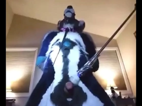 Furry tied up and milked with wand