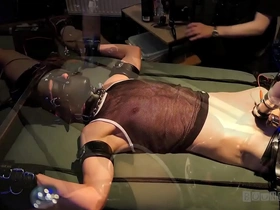 Boundlads - electro milked